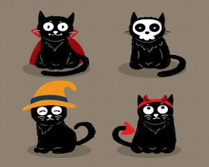 Daily Joke: Four Cats With Impressive Abilities