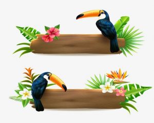 Daily Joke: Californian And Hawaiian Woodpeckers Have A Chat