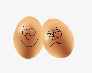 Daily Joke: Life In The Fertilized Egg Business