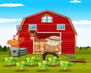 Daily Joke: Longtime City Man Decides To Become Chicken Farmer But Faces Problems